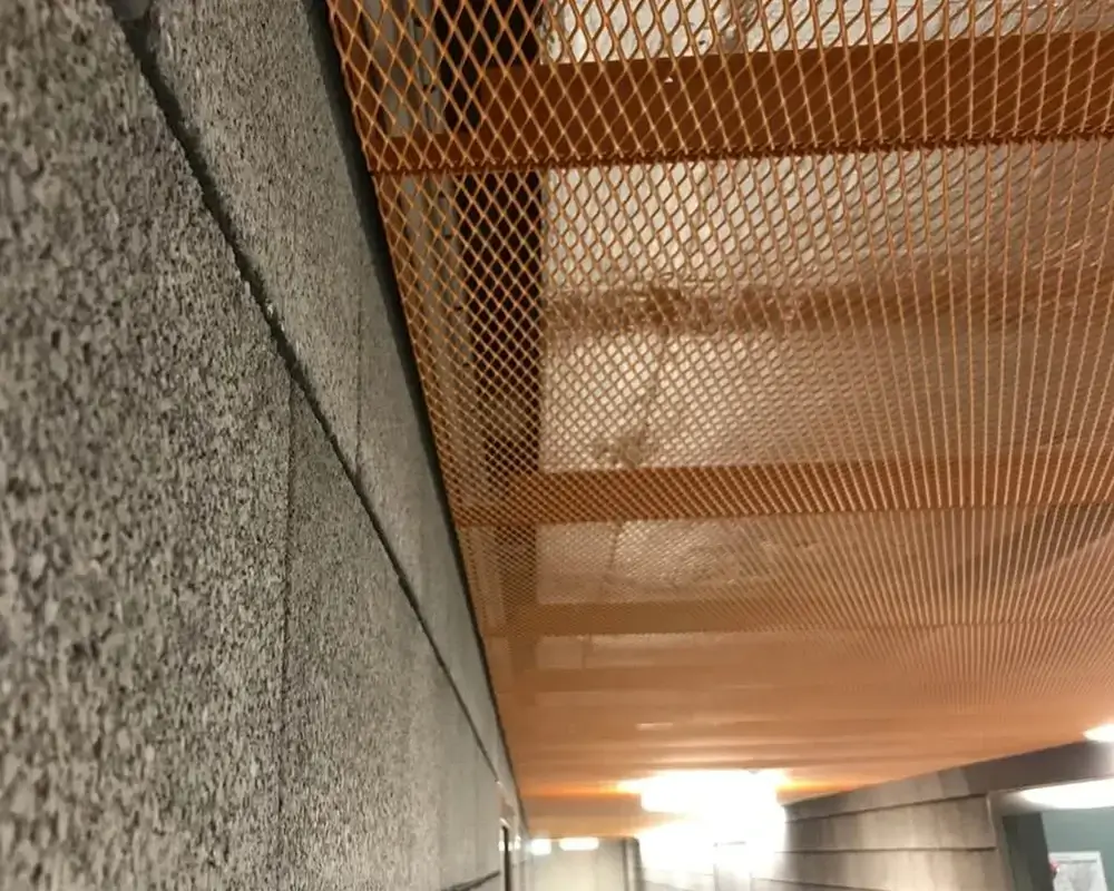 custom mesh ceiling